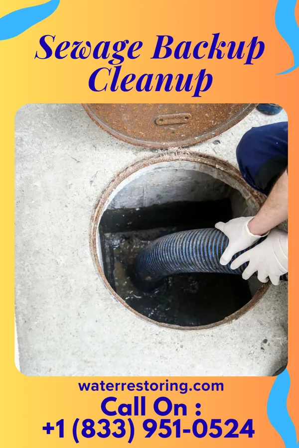 Sewage Backup Cleanup in Addison, IL